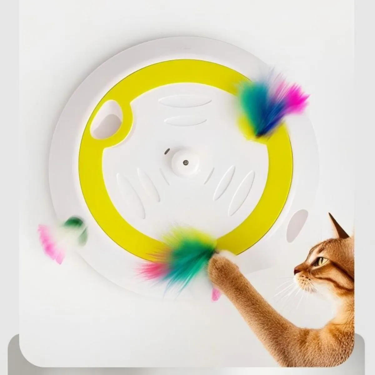 Whack-A-Mole Cat Game